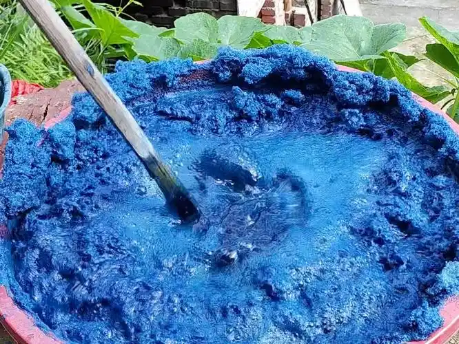 板蓝根制靛
